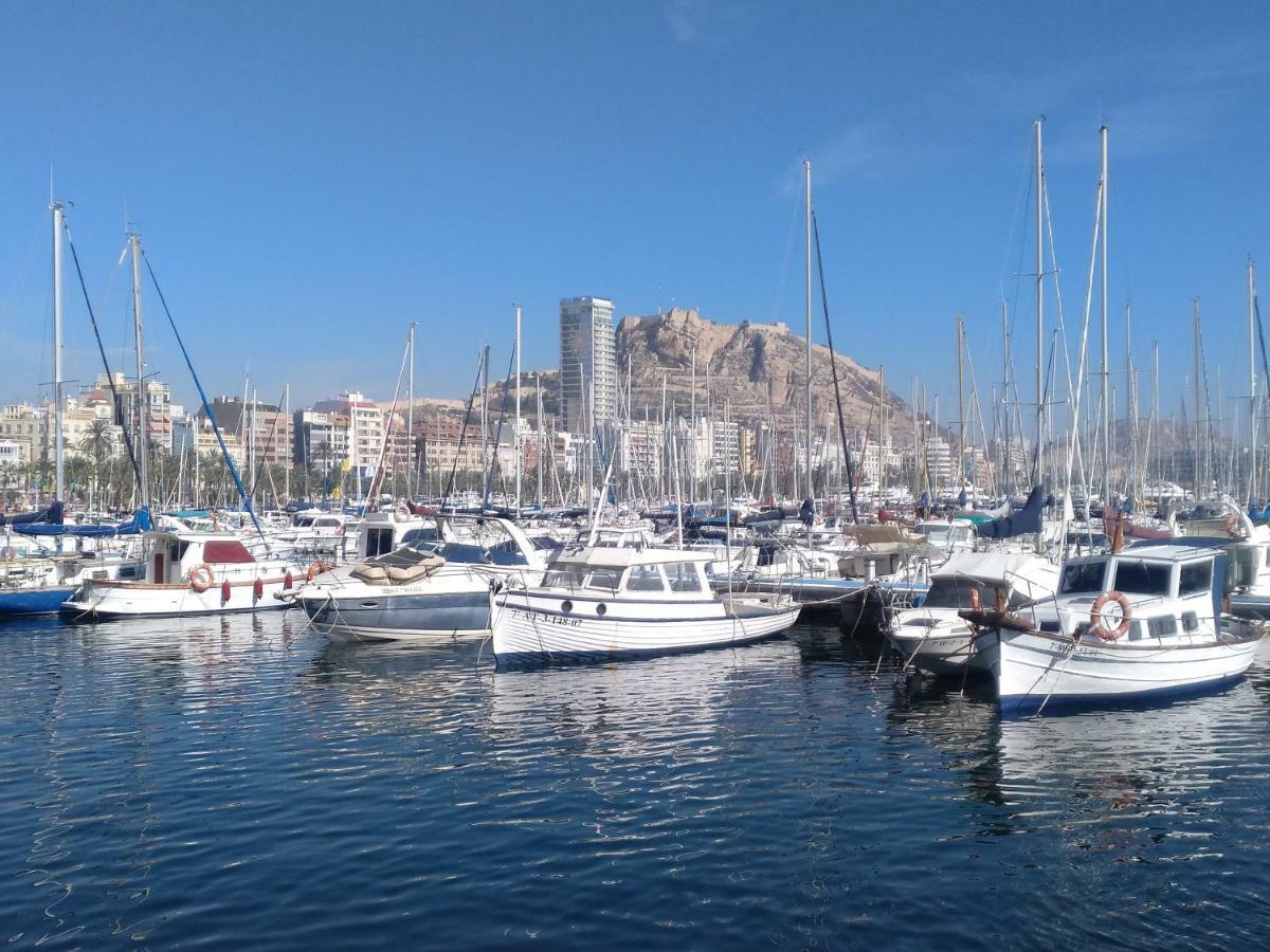 Estudio Alicante Centro Dış mekan fotoğraf